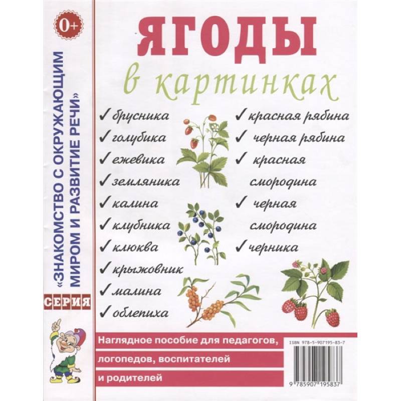 Ягоды в картинках. Наглядное пособие для педагогов, воспитателей, логопедов, родителей.