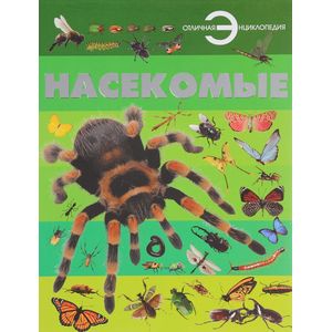 Насекомые Насекомые