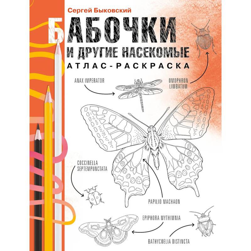 Бабочки и другие насекомые. Атлас-раскраска