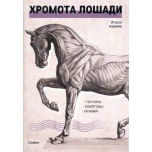 Хромота лошади. Причины. Симптомы. Лечение Хромота лошади. Причины. Симптомы. Лечение