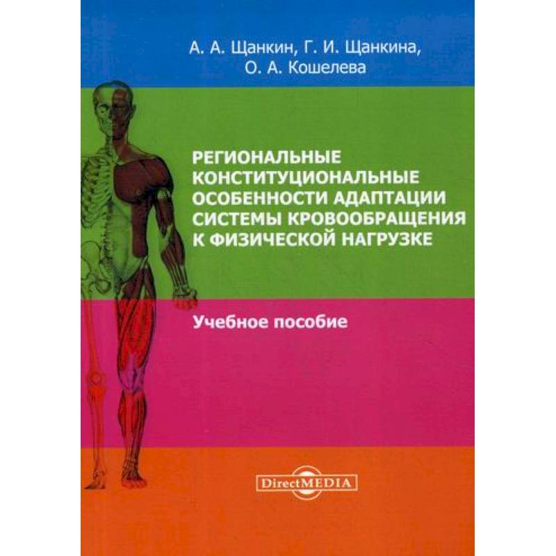 Региональные конституциональные особенности адаптации системы кровообращения