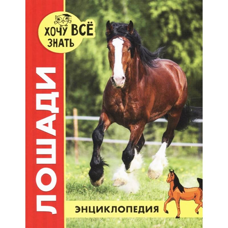 Хочу все знать. Лошади