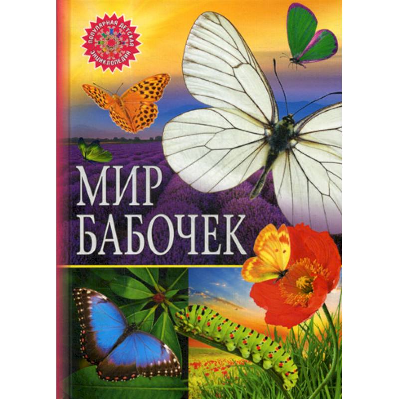 Мир бабочек Мир бабочек