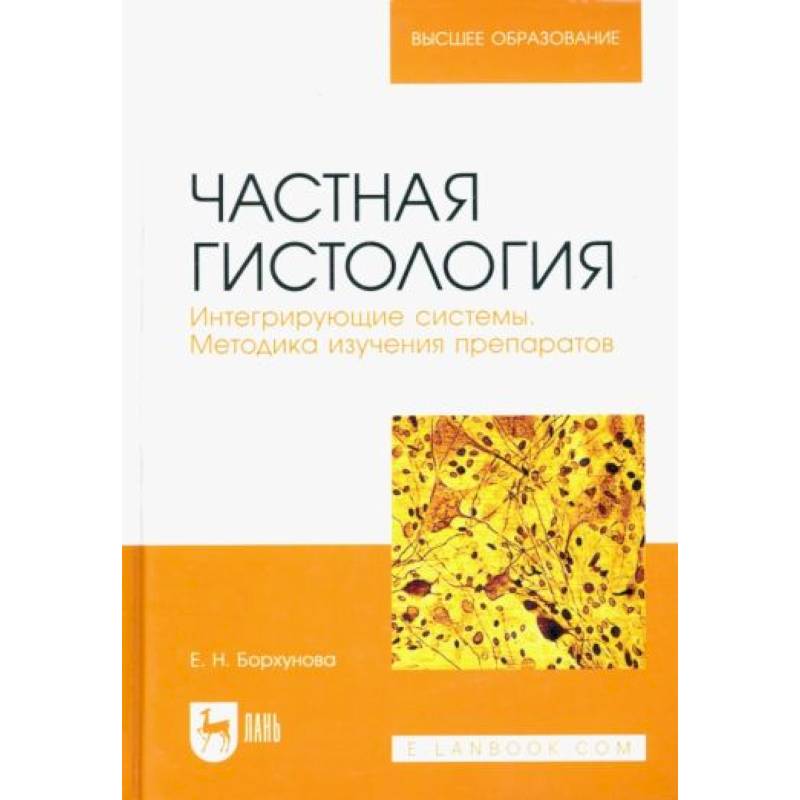 Частная гистология. Интегрирующие системы. Методика изучения препаратов. Учебно-методическое пособие Частная гистология. Интегрирующие системы. Методика изучения препаратов. Учебно-методическое пособие