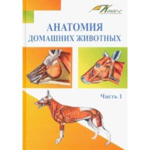 Анатомия домашних животных. Учебник. Часть 1 Анатомия домашних животных. Учебник. Часть 1