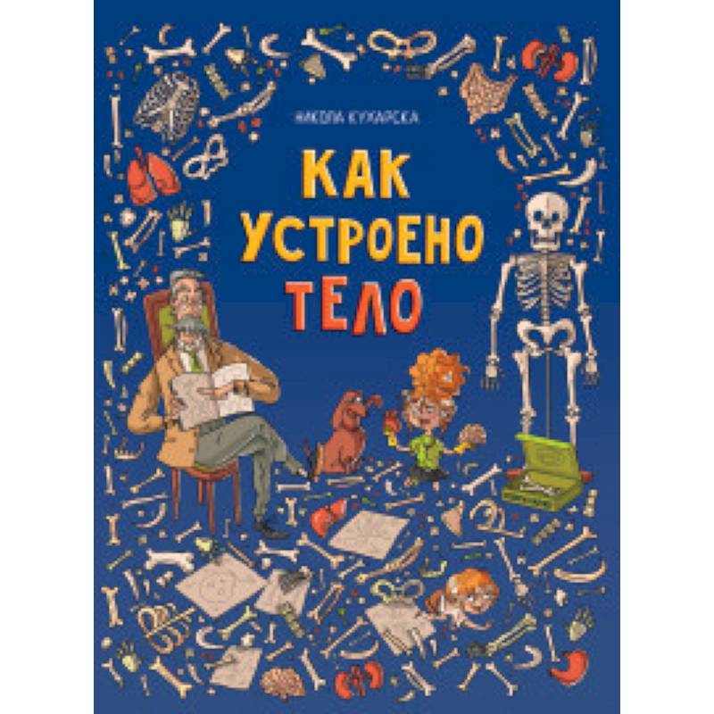 Как устроено тело Как устроено тело