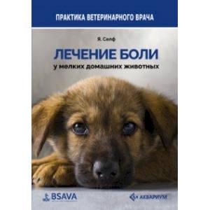 Лечение боли у мелких домашних животных Лечение боли у мелких домашних животных
