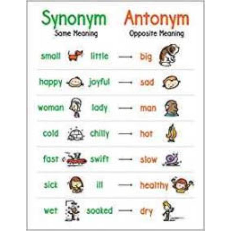 Anchor Chart: Synonym and Antonym