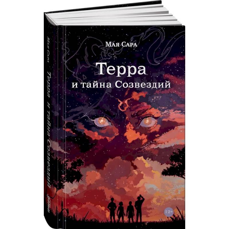 Терра и тайна созвездий. Книга 1 Терра и тайна созвездий. Книга 1