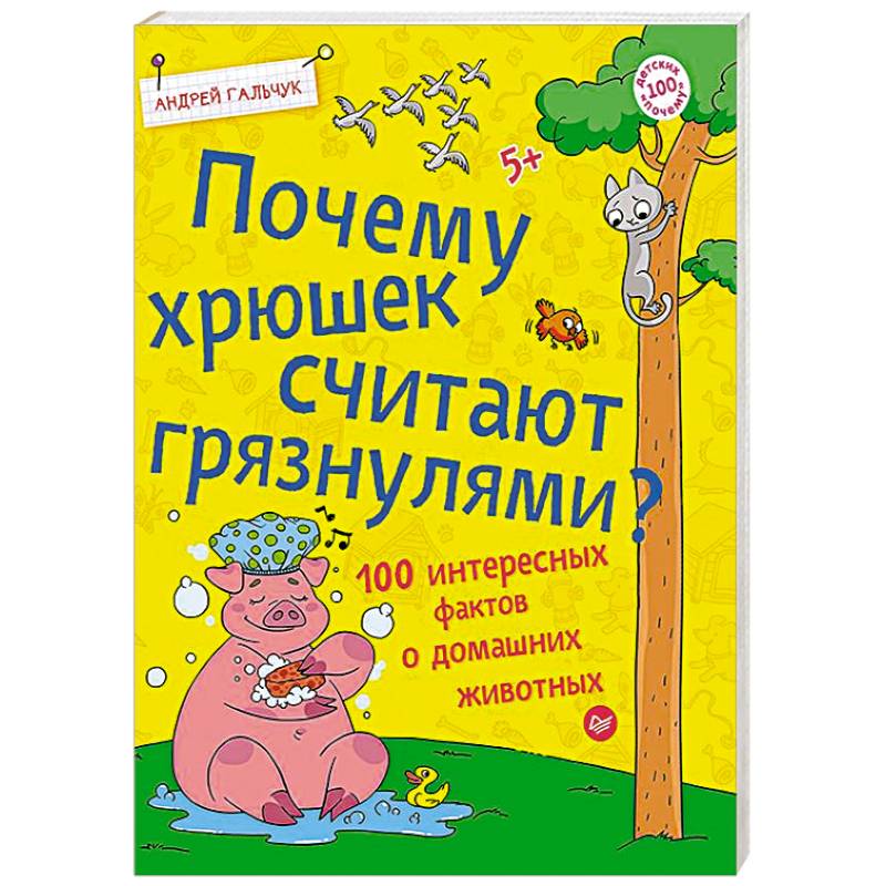 Почему хрюшек считают грязнулями? 100 интересных фактов о домашних животных Почему хрюшек считают грязнулями? 100 интересных фактов о домашних животных