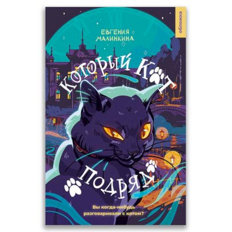 21-й век 'Который кот подряд' 21-й век 'Который кот подряд'