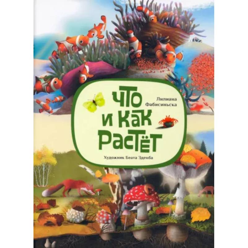 Что и как растёт Что и как растёт