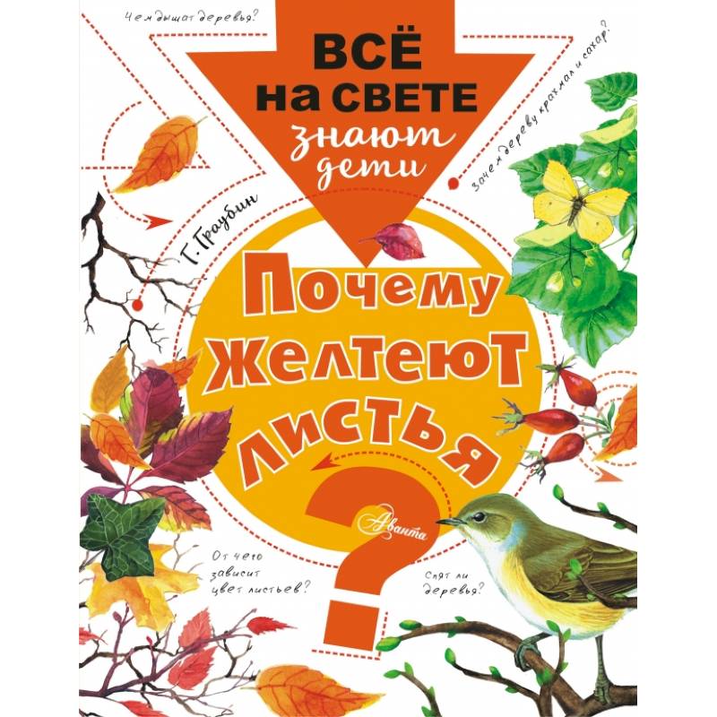 Почему желтеют листья? Почему желтеют листья?