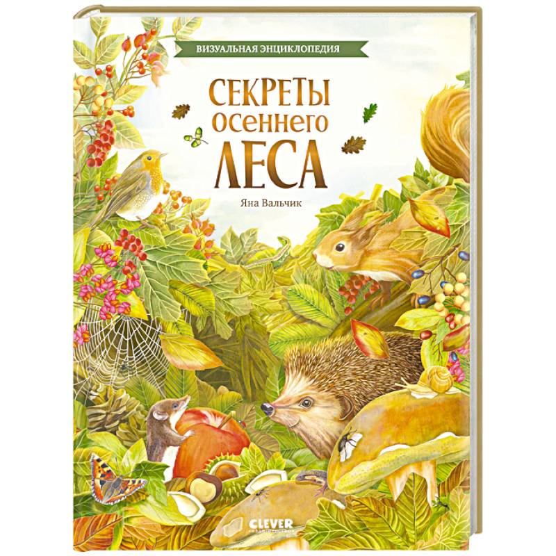 Секреты осеннего леса. Визуальная энциклопедия
