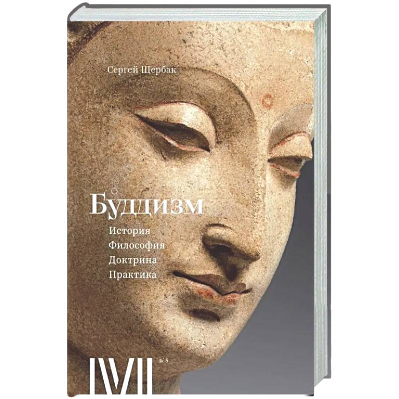 Буддизм. История, философия, доктрина, практика. 16 лекций для проекта Магистерия