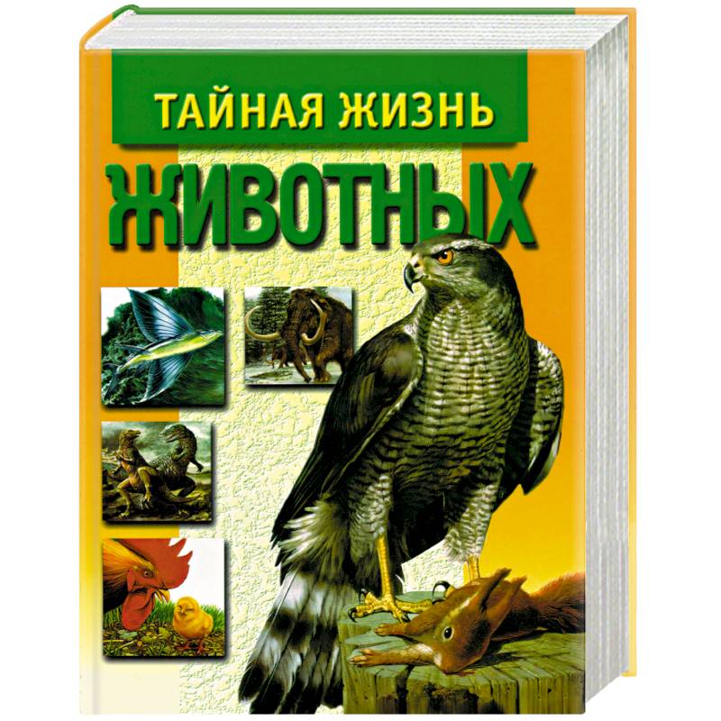 Тайная жизнь животных Тайная жизнь животных
