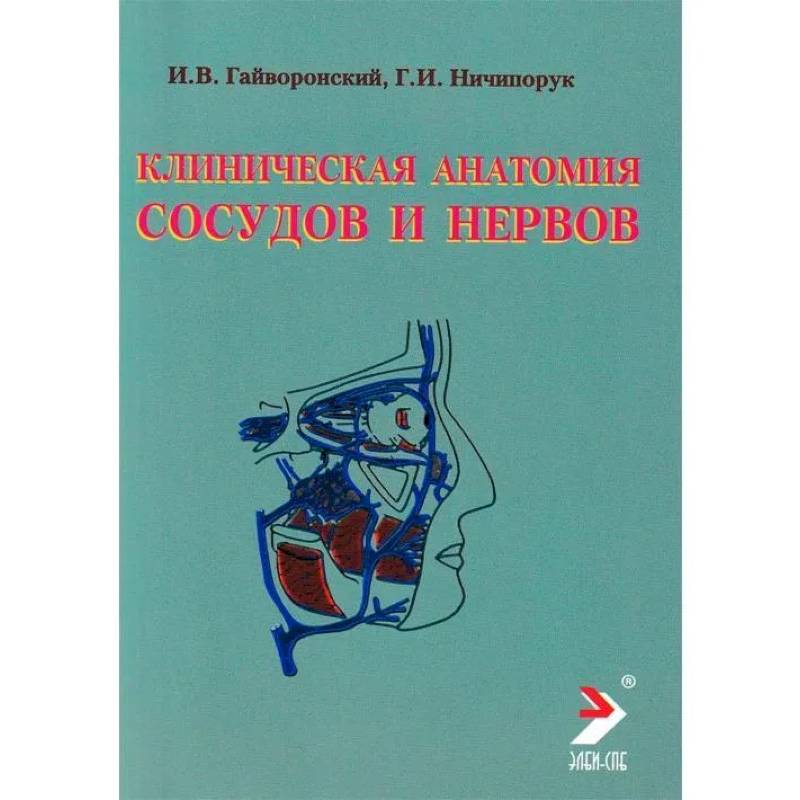Клиническая анатомия сосудов и нервов. Учебное пособие Клиническая анатомия сосудов и нервов. Учебное пособие