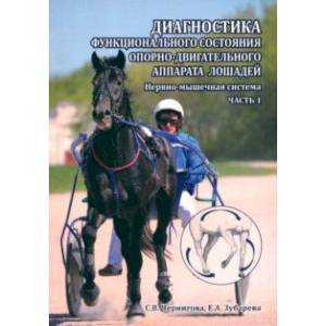 Диагностика функционального состояния опорно-двигательного аппарата лошадей. Нервно-мышечная система Диагностика функционального состояния опорно-двигательного аппарата лошадей. Нервно-мышечная система