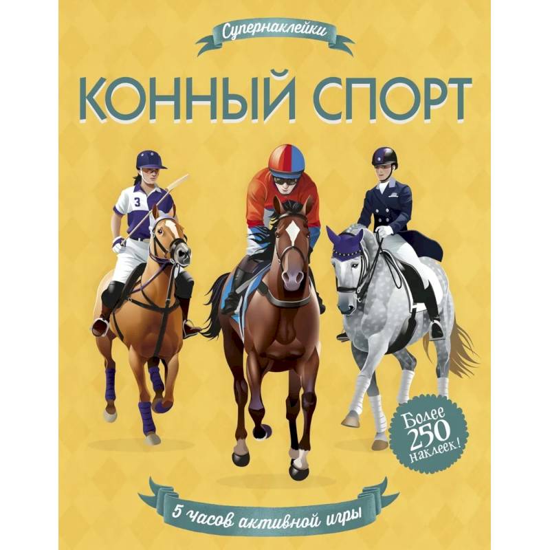 Конный спорт Конный спорт