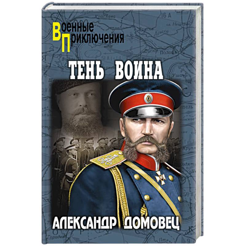 Тень воина Тень воина