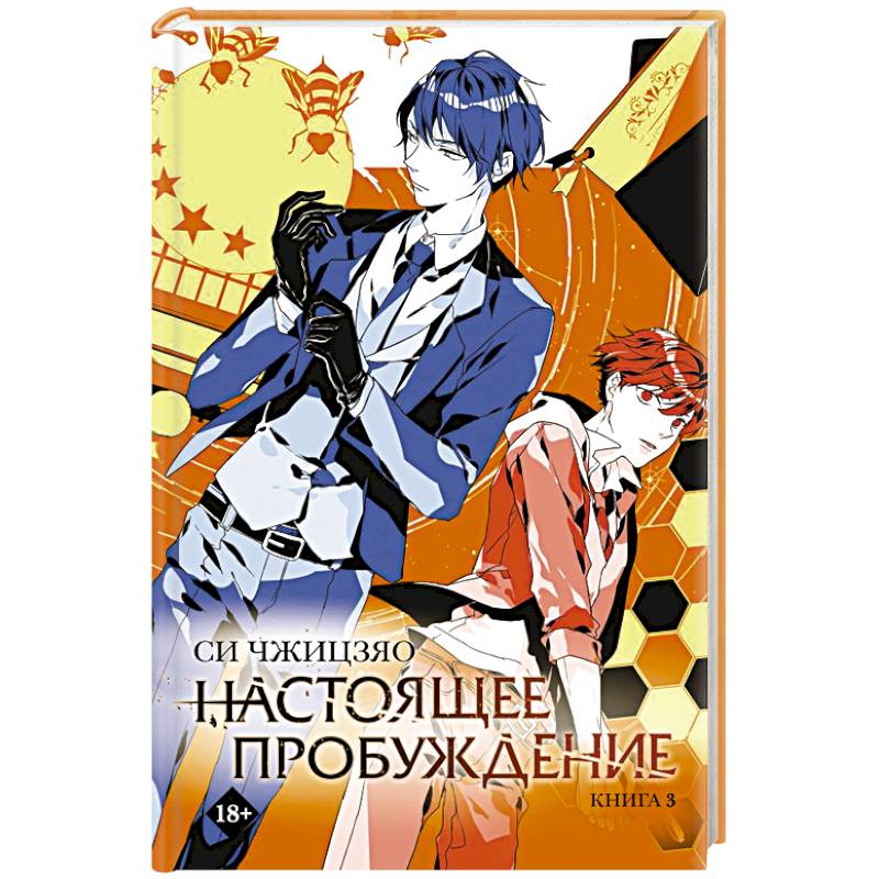 Настоящее пробуждение. Real Awakening. Книга 3