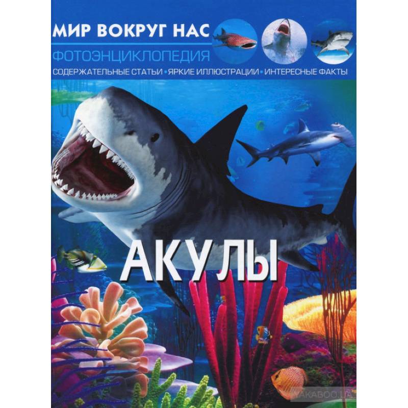 Мир вокруг нас. Акулы. Фотоэнциклопедия Мир вокруг нас. Акулы. Фотоэнциклопедия