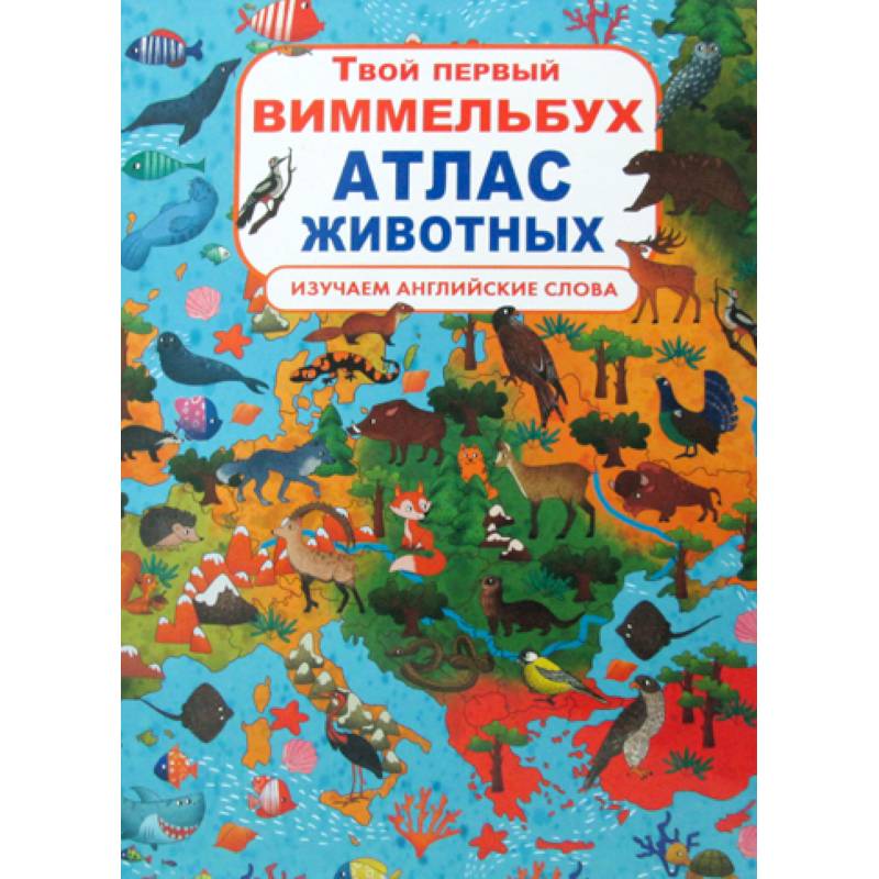 Твой первый виммельбух. Атлас животных. Изучаем  английские слова