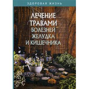 Лечение травами болезней желудка и кишечника