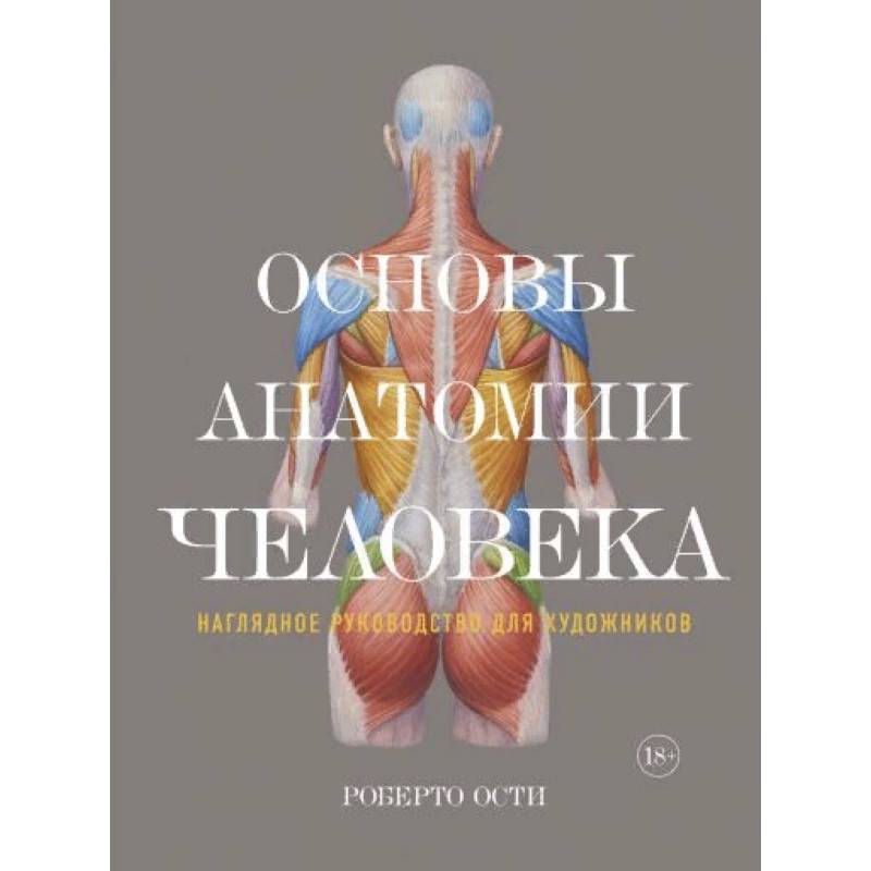 Основы анатомии человека. Наглядное руководство для художника