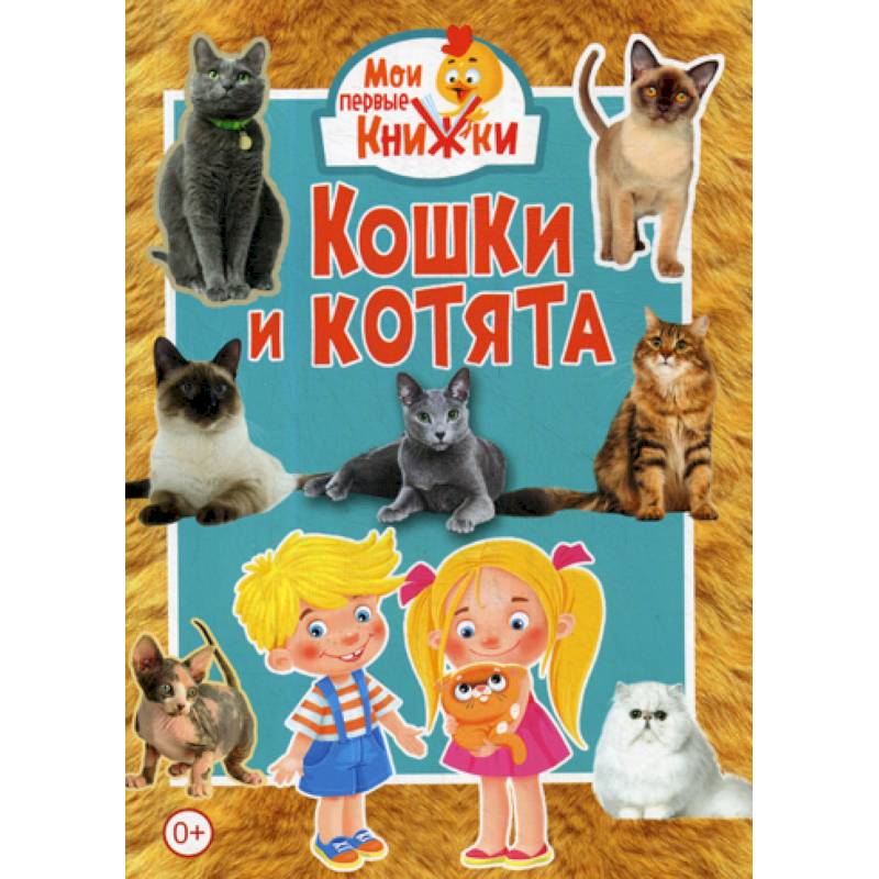 Кошки и котята Кошки и котята