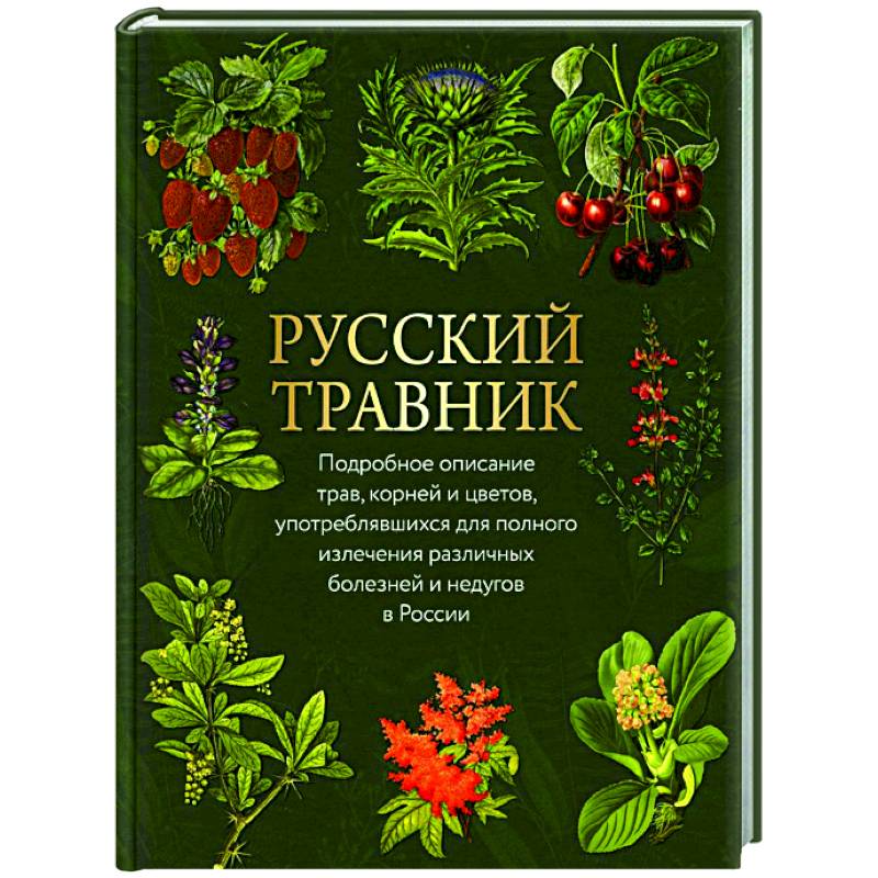 Русский травник. Подробное описание трав, корней и цветов, употреблявшихся для полного излечения различных болезней и недугов в России Русский травник. Подробное описание трав, корней и цветов, употреблявшихся для полного излечения различных болезней и недугов в России