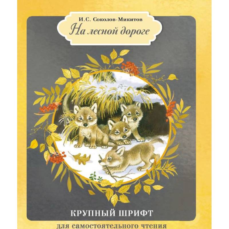 На лесной дороге На лесной дороге