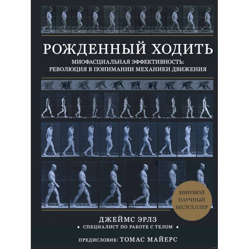 Рождённый ходить. Миофасциальная эффективность: революция в понимании механики движения