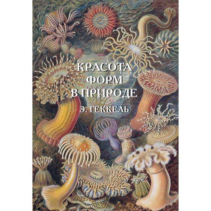 Красота форм в природе