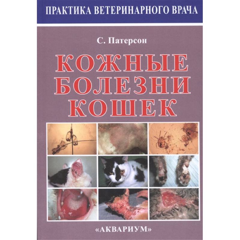Кожные болезни кошек Кожные болезни кошек