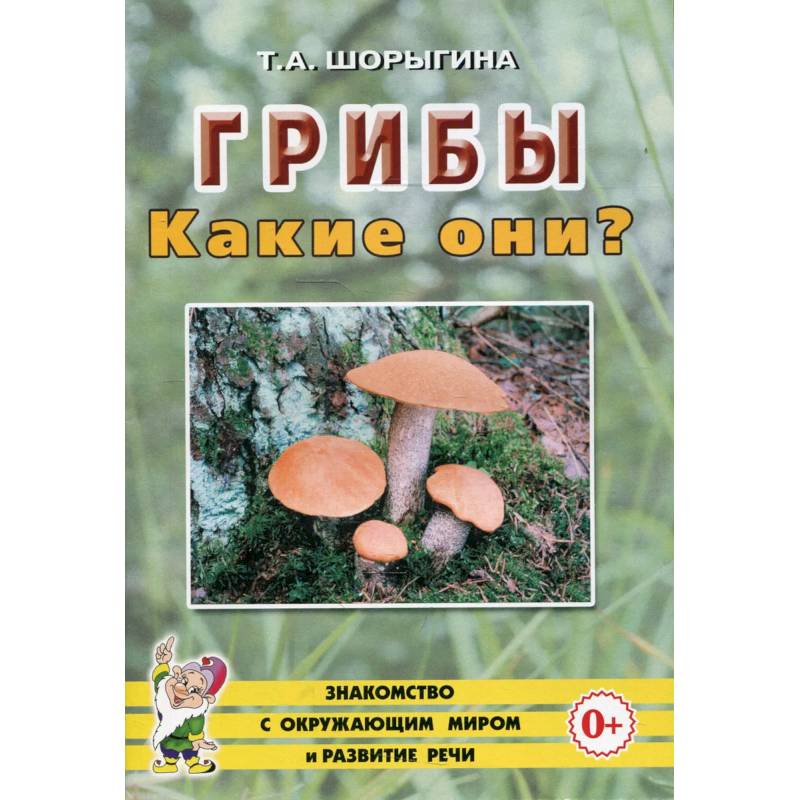 Грибы. Какие они? Грибы. Какие они?