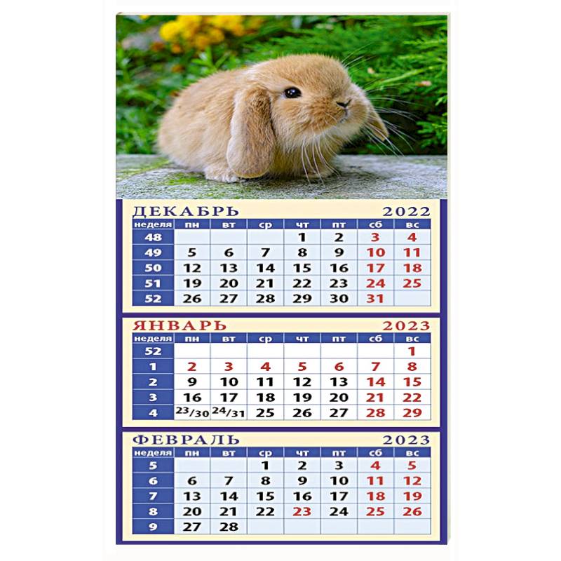 Календарь Год кролика. Симпатичн малыш на 2023 год