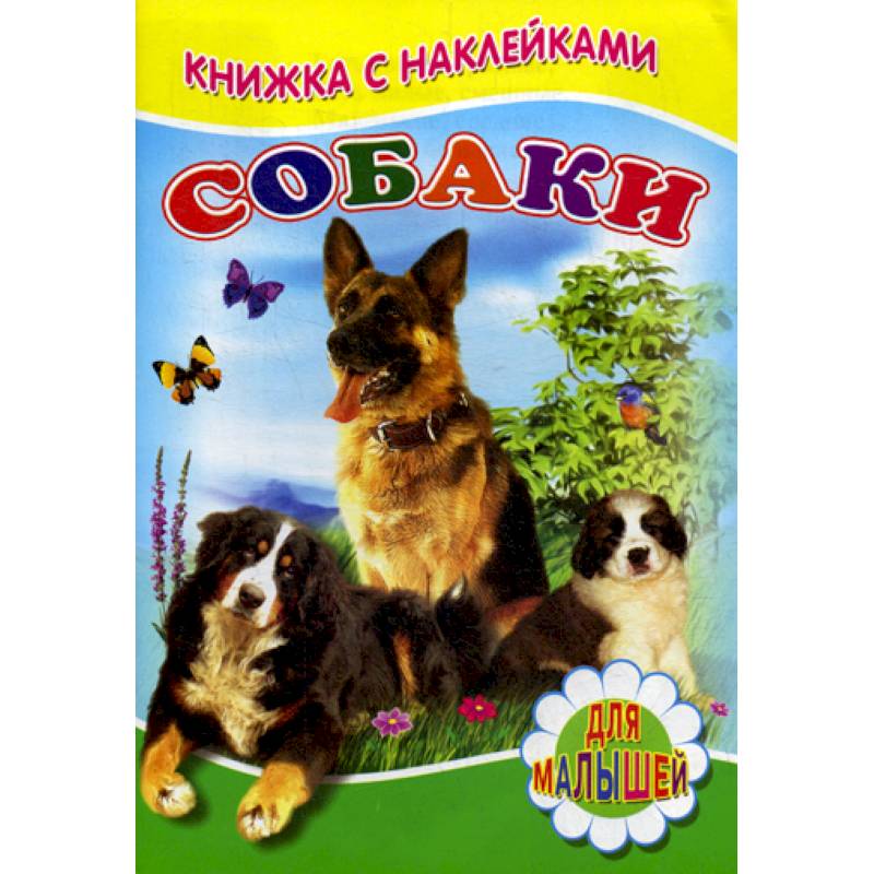 Собаки Собаки