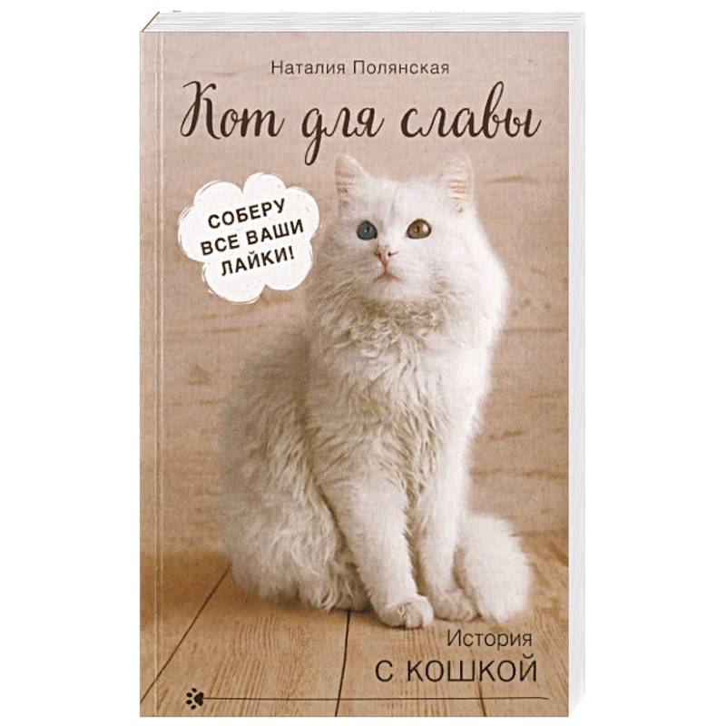 Кот для славы Кот для славы