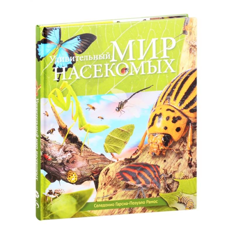 Удивительный мир насекомых