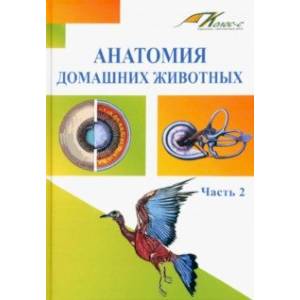 Анатомия домашних животных. Учебник. Часть 2 Анатомия домашних животных. Учебник. Часть 2