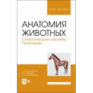 Анатомия животных. Соматические системы. Практикум. Учебное пособие Анатомия животных. Соматические системы. Практикум. Учебное пособие