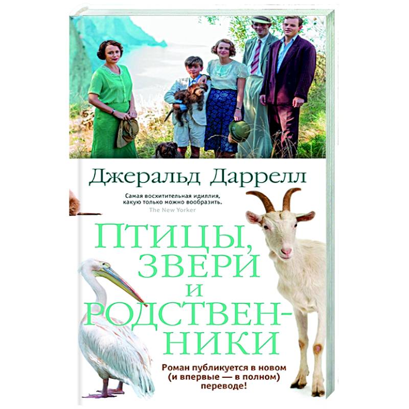 Птицы, звери и родственники Птицы, звери и родственники