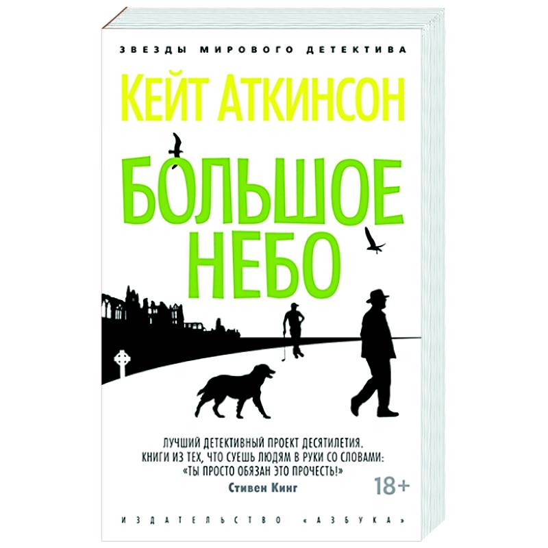 Большое небо Большое небо