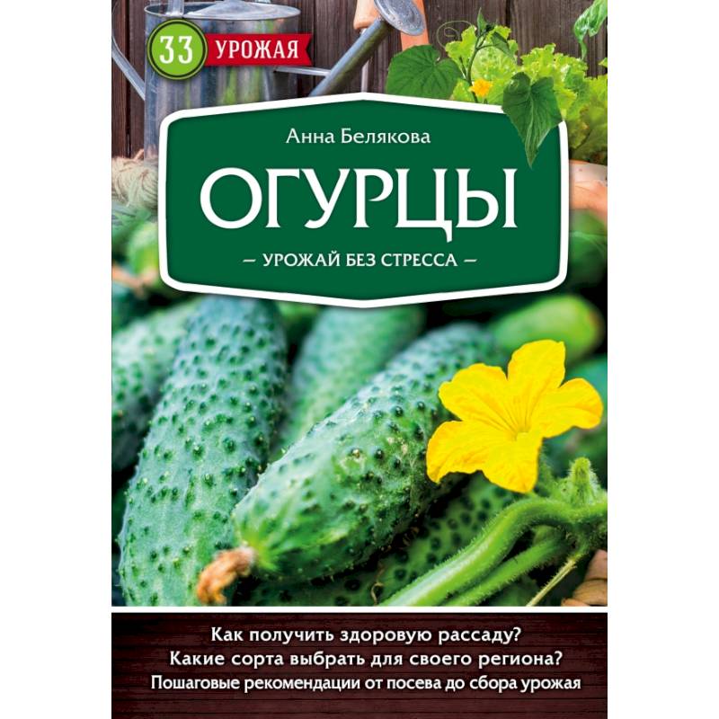 Огурцы. Урожай без стресса