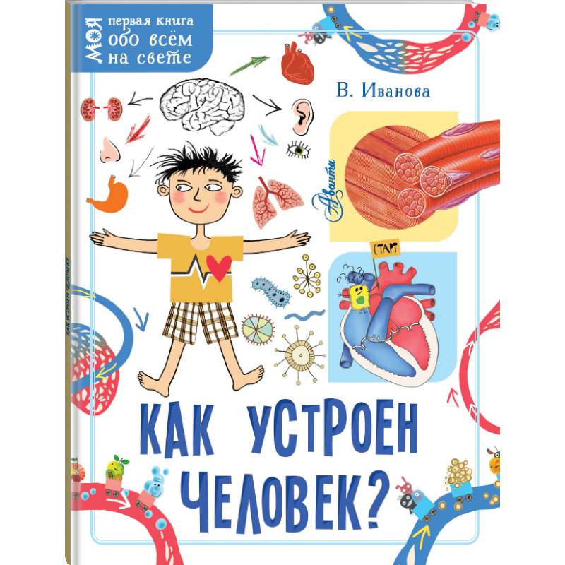 Как устроен человек? Как устроен человек?