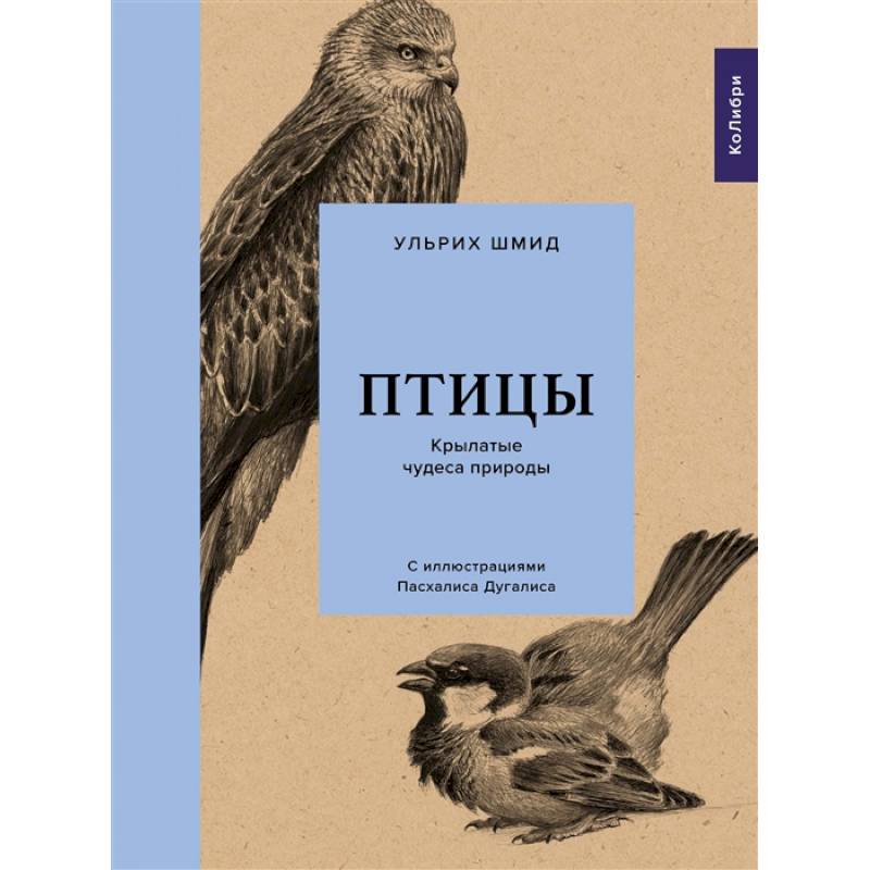 Птицы.Крылатые чудеса природы Птицы.Крылатые чудеса природы