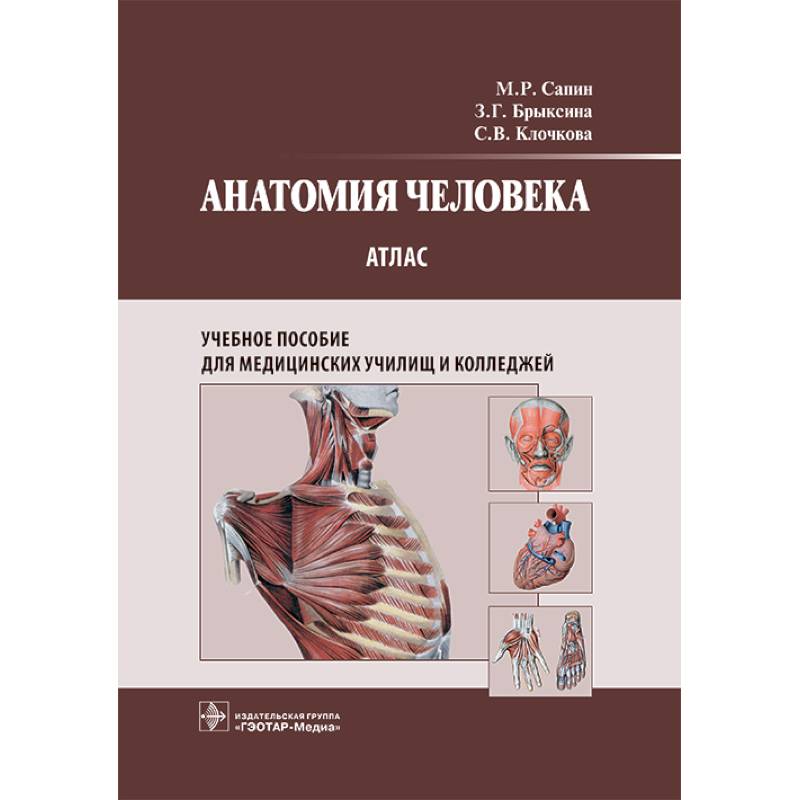 Анатомия человека: атлас: Учебное пособие Анатомия человека: атлас: Учебное пособие