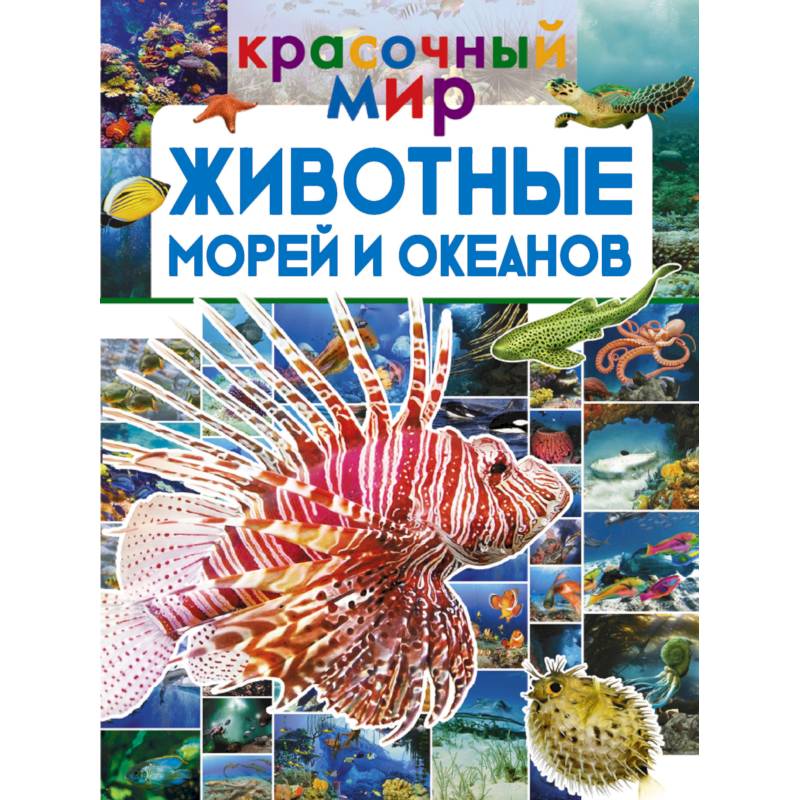 Животные морей и океанов Животные морей и океанов