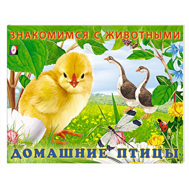 Домашние птицы